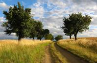 TCG Managing Attorney Josh Voorhees to Speak at Prop 65 Conference