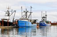 Dongwon Sued Under False Claims Act for Falsely Obtained Fishing Licenses