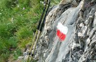 Held Files Complaint Against CWC Inventories Re: Lead and DEHP in Walking Sticks