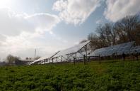 Japan's "Solar Sharing" Program Supports Solar Energy Projects on Farmland