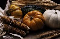 The Chanler Group Wishes Everyone a Happy and Healthy Thanksgiving