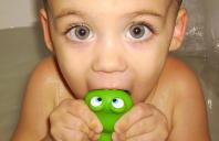 Connecticut Public Interest Research Group Releases 2013 Trouble in Toyland Report