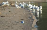 Proposed Bill will Ban Water Sales in San Francisco