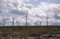 Google Invests $75 Million in Second Wind Farm in Texas